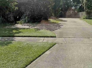 Ina B.'s Yard Cutting service result