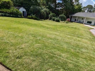 Jesse C.'s Lawn Mowing Service service result