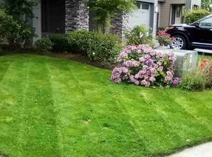 Rupika G.'s Lawn Mowing service result