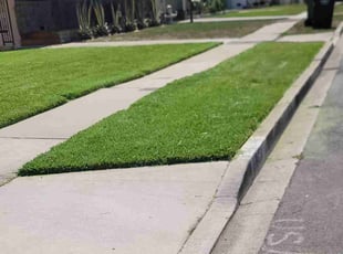 Cleanups by Armando Escobedo for Sharron H. in Inglewood, CA