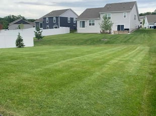 Linda C.'s Lawn Care service result