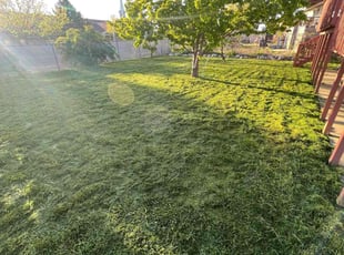 Robert I.'s Yard Cutting service result