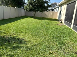 Alicia C.'s Lawn Maintenance service result
