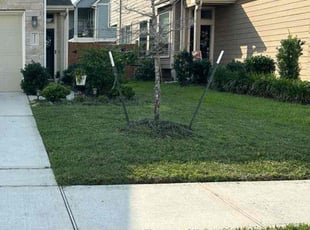 Des M.'s Lawn Service service result