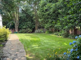 Carolyn G.'s Lawn Service service result