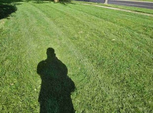 Ric S.'s Lawn Service service result