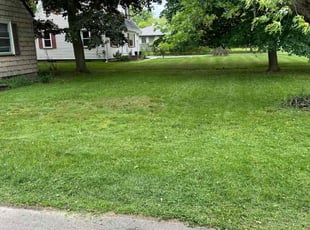James S.'s Lawn Care service result