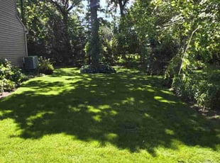 Sara H.'s Grass Cutting service result