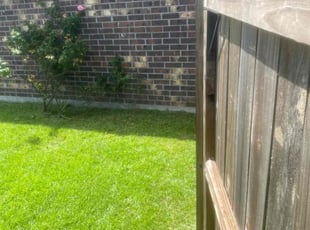 Maurice P.'s Grass Cutting service result