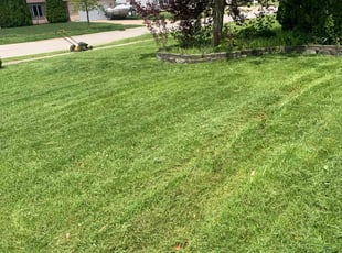 Tiffany C.'s Lawn Mowing service result