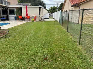 Richard C.'s Lawn Mowing service result