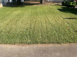 Leaf Removal by Thomas Fincher for Julie H. in Benbrook, TX