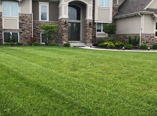 Stephen S.'s Lawn Service service result