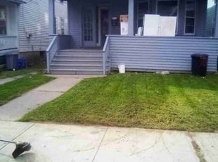 Molly N.'s Lawn Maintenance service result
