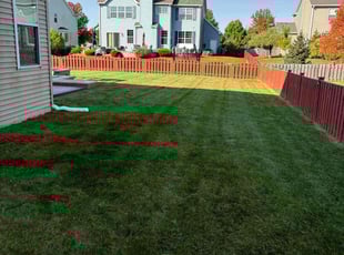 Linda W.'s Lawn Mowing service result