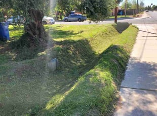 Danielle W.'s Yard Cutting service result