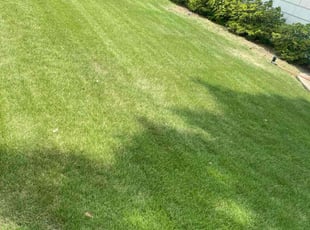 Sequoah R.'s Lawn Care service result