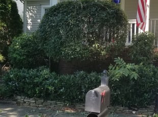 Bush Trimming by John Williams for James F. in Charlotte, NC