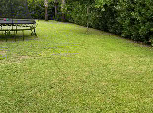 Marlene B.'s Lawn Care service result