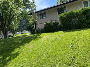 Johnny l.'s Lawn Care service result
