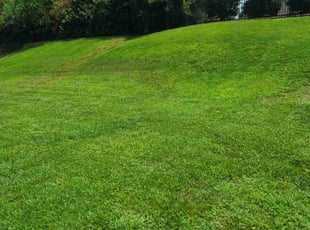 Kevin F.'s Lawn Maintenance service result
