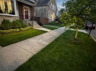 Gregg M.'s Lawn Service service result