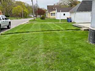 Matthew S.'s Lawn Mowing service result