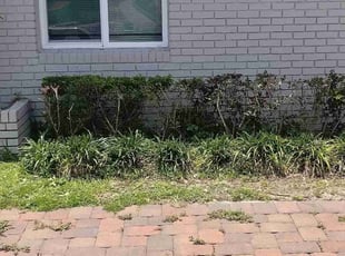 Bush Trimming by Willie Carmichael Jr for Ronnie A. in Apopka, FL