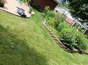 Dwayne M.'s Lawn Care service result