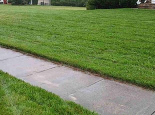 Lynn B.'s Lawn Mowing service result