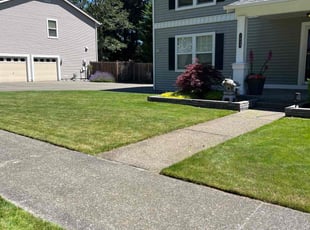 Miles G.'s Lawn Mowing Service service result