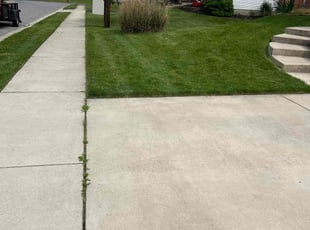 Maria B.'s Lawn Mowing Service service result