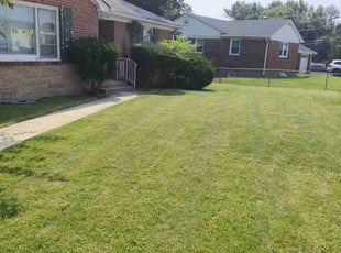 James M.'s Lawn Mowing service result