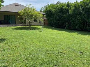 Shelby G.'s Lawn Mowing service result