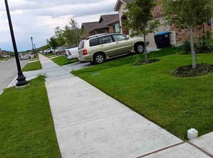 DEREK A.'s Lawn Service service result