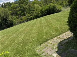 Melanie P.'s Lawn Service service result