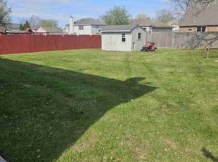 Cameron B.'s Lawn Mowing service result
