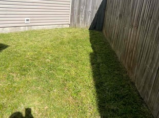 Dorothy F.'s Lawn Care service result