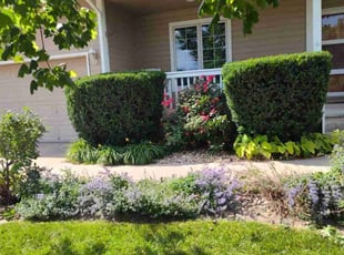 Bush Trimming by Tim Birch for Troy R. in Omaha, NE