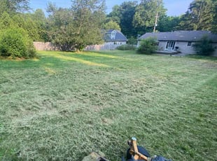 NICHOLAS M.'s Lawn Service service result
