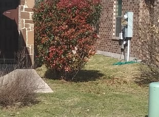 Bush Trimming by Brent Tanksley for Carisa B. in Hutto, TX
