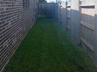 Pamela T.'s Grass Cutting service result