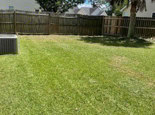 Nico O.'s Lawn Service service result
