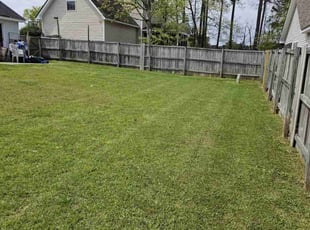 Michael A.'s Grass Cutting service result