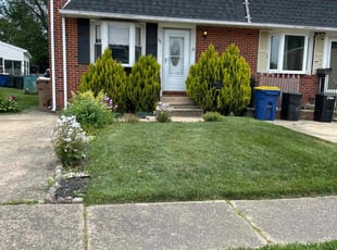 Shirelle M.'s Lawn Mowing service result