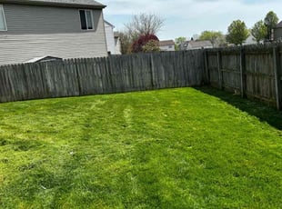 Ryan J.'s Lawn Mowing service result