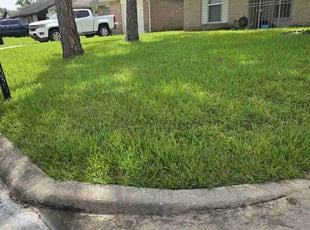 Sarah L.'s Lawn Mowing Service service result