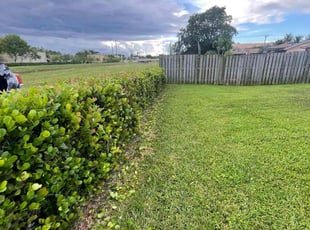 Bush Trimming by Marcus Major for Timothy K. in Sunrise, FL
