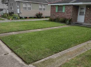 Melody S.'s Lawn Service service result
