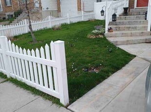Aaron L.'s Lawn Mowing Service service result